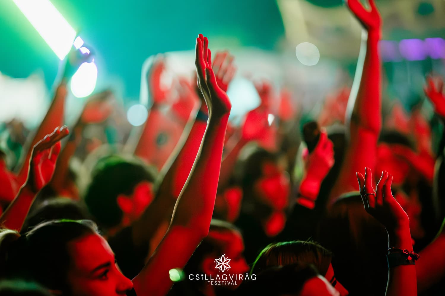 Koncert & Fesztivál